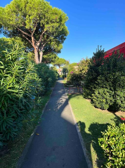 Casina Mare Bibbona Lägenhet Marina Di Bibbona Exteriör bild